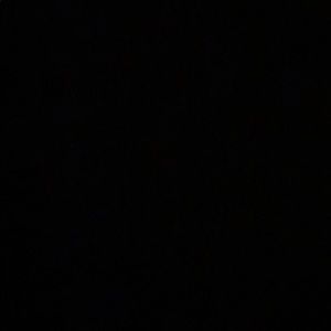 Meet your Posher, Ann